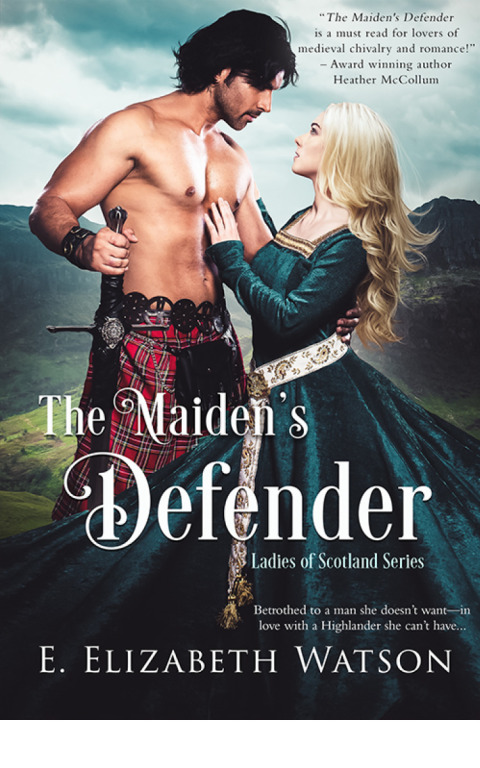 Cover image for book The Maiden's Defender