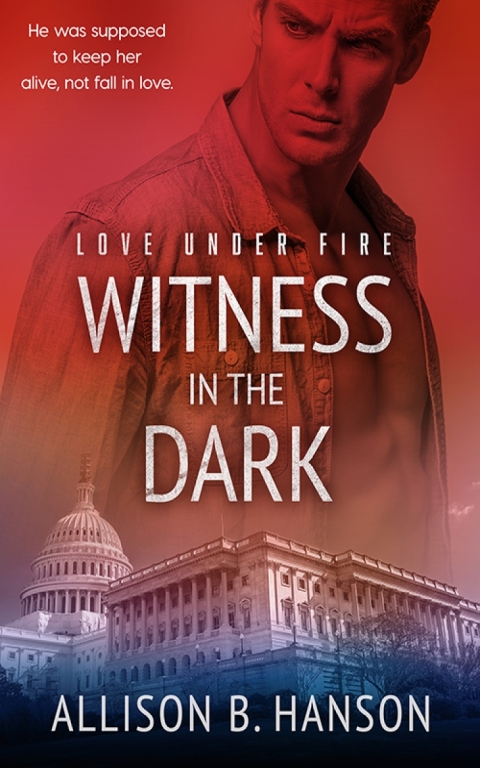 Cover image for book Witness in the Dark