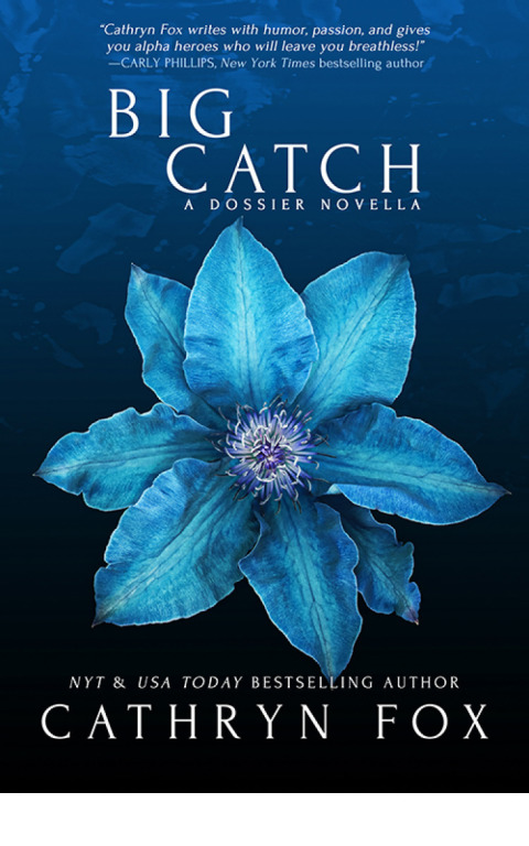 Cover image for book Big Catch