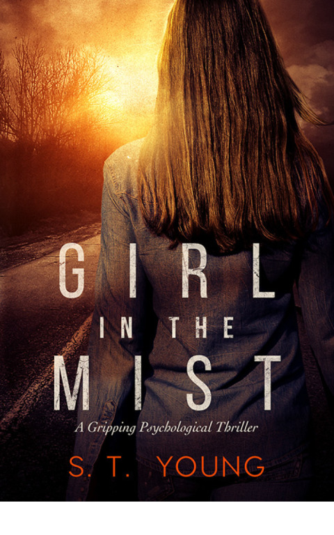 Cover image for book Girl in the Mist