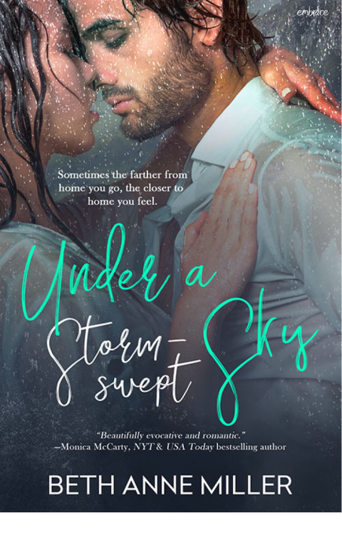 Cover image for book Under a Storm-Swept Sky