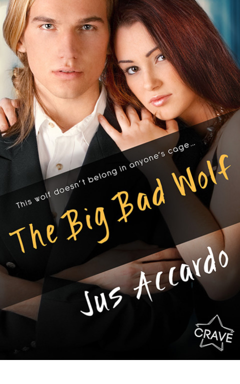 Cover image for book The Big Bad Wolf