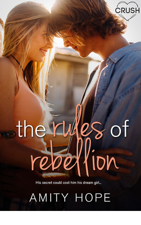 Cover image for book The Rules of Rebellion