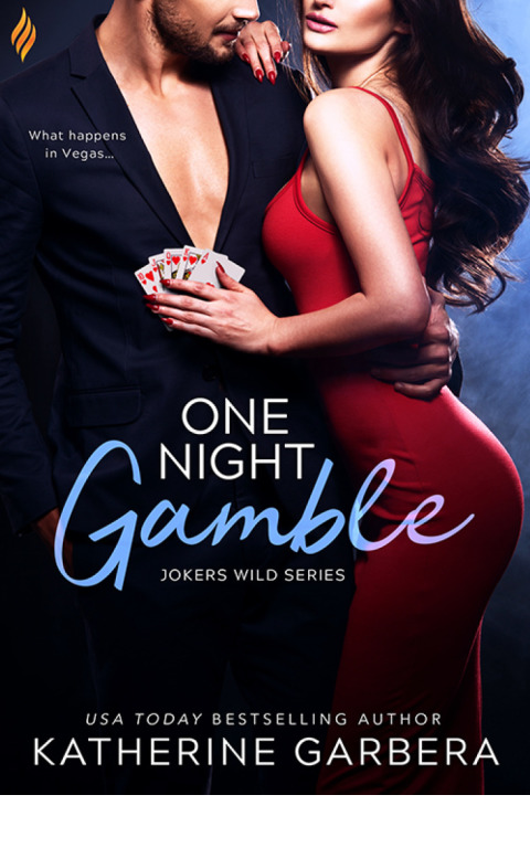 Cover image for book One Night Gamble