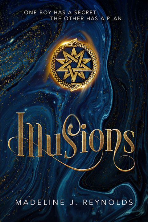 Cover image for book Illusions