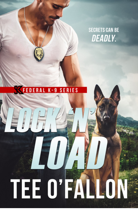 Cover image for book Lock 'N' Load