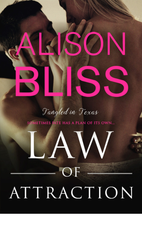 Cover image for book Law of Attraction