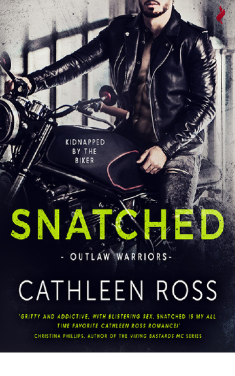 Cover image for book Snatched