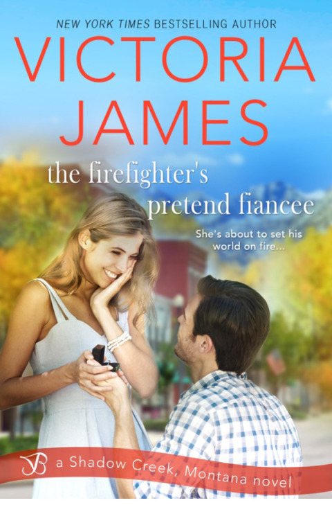 Cover image for book The Firefighter's Pretend Fiancee