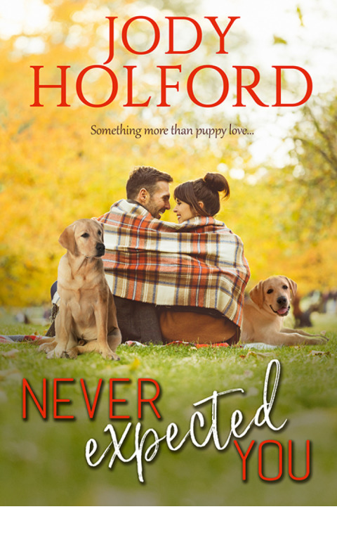Cover image for book Never Expected You