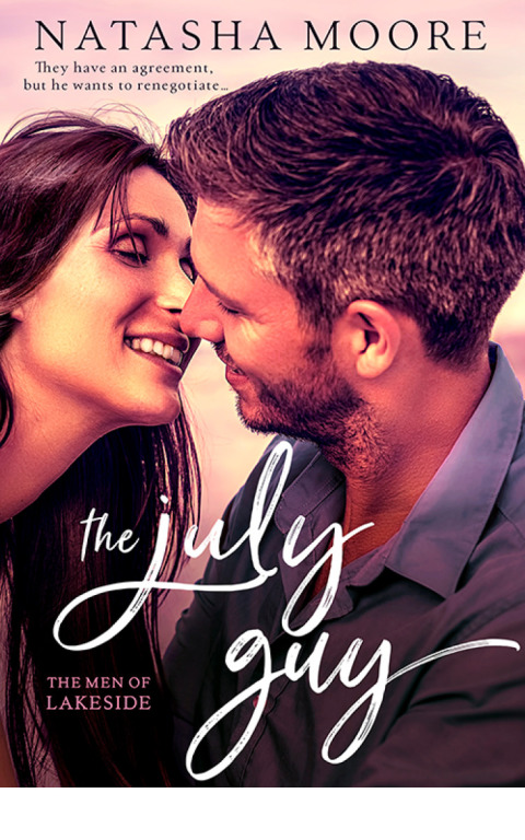Cover image for book The July Guy