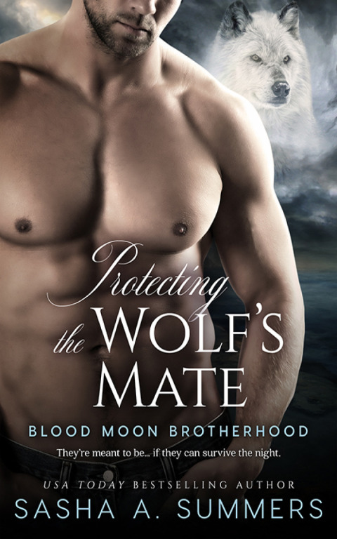 Cover image for book Protecting the Wolf's Mate