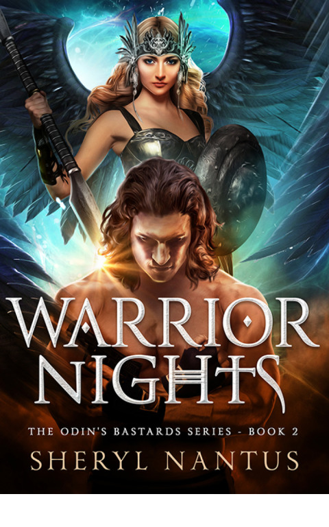 Cover image for book Warrior Nights