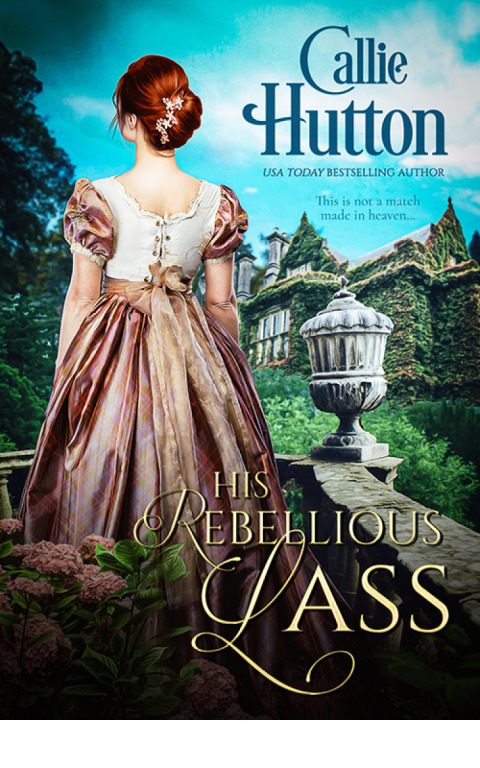 Cover image for book His Rebellious Lass