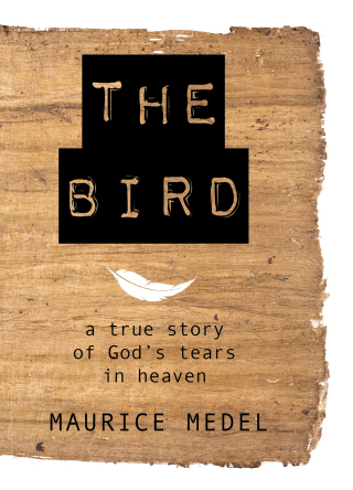 The Bird