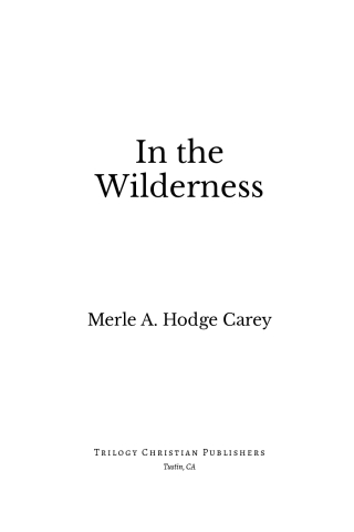 In the Wilderness: Experiences of Encountering God