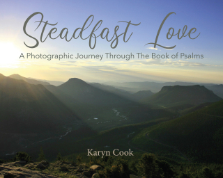Steadfast Love