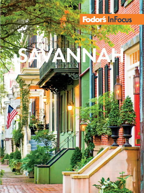 Cover image for book Fodor's In Focus Savannah