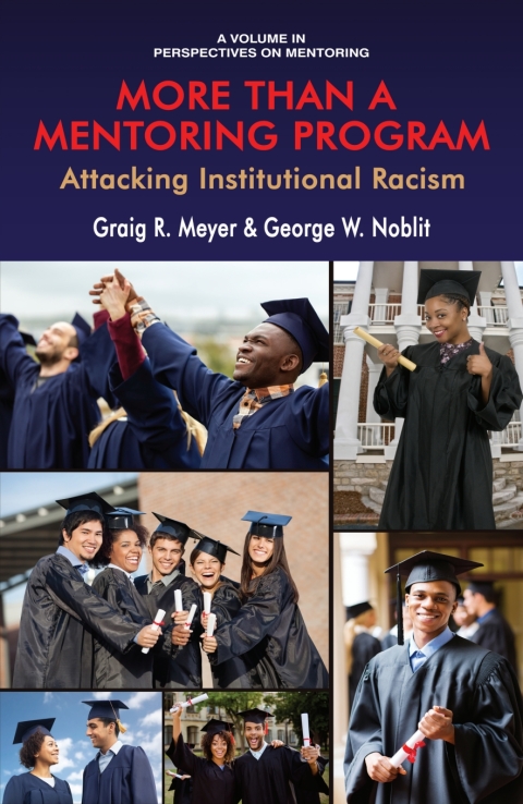 Cover image for book More Than a Mentoring Program