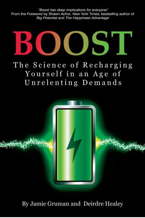 Cover image for book Boost