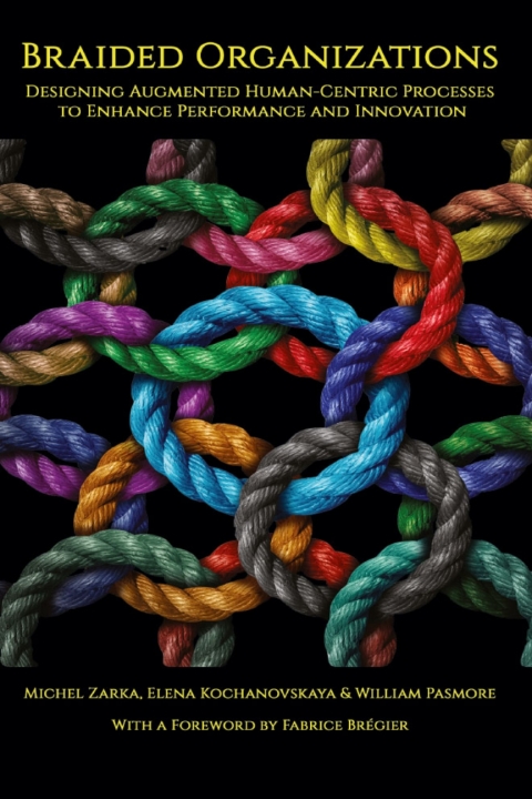 Cover image for book Braided Organizations