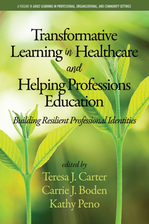 Cover image for book Transformative Learning in Healthcare and Helping Professions Education