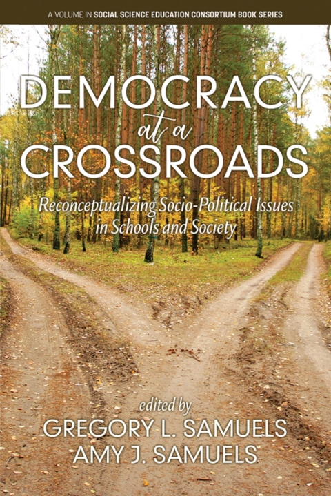 Cover image for book Democracy at a Crossroads