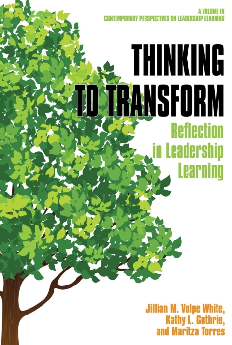 Cover image for book Thinking to Transform