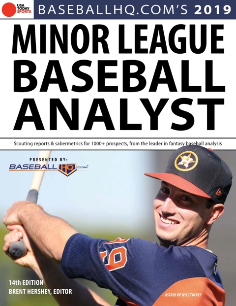 Cover image for book 2019 Minor League Baseball Analyst