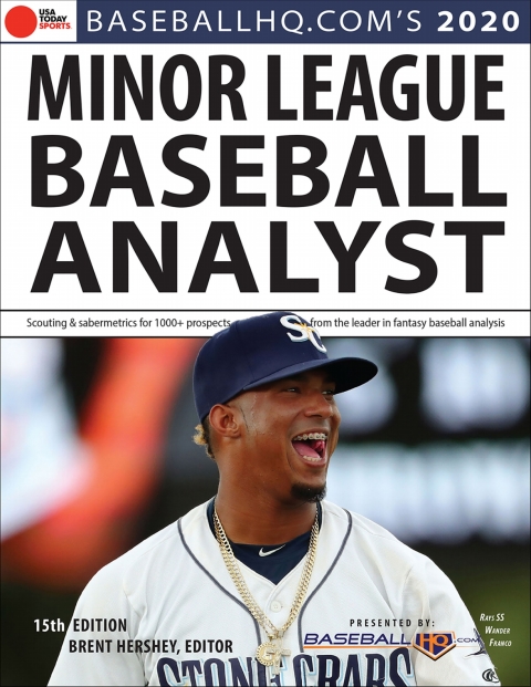 Cover image for book 2020 Minor League Baseball Analyst