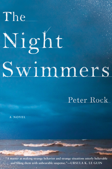 Cover image for book The Night Swimmers