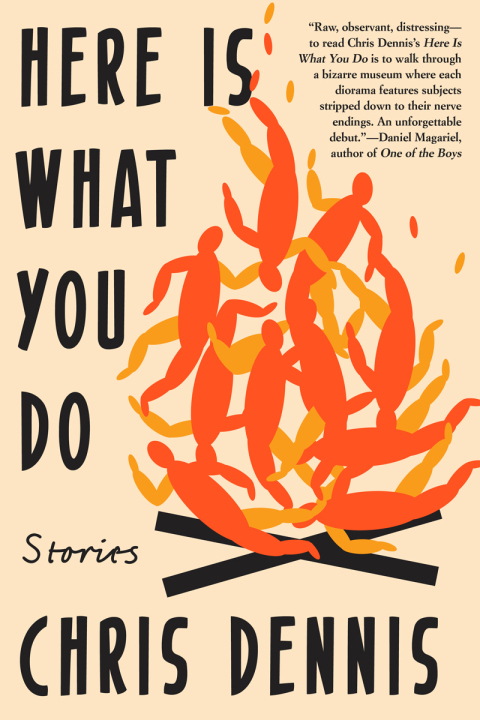 Cover image for book Here Is What You Do