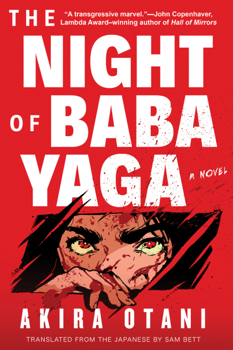 Cover image for book The Night of Baba Yaga
