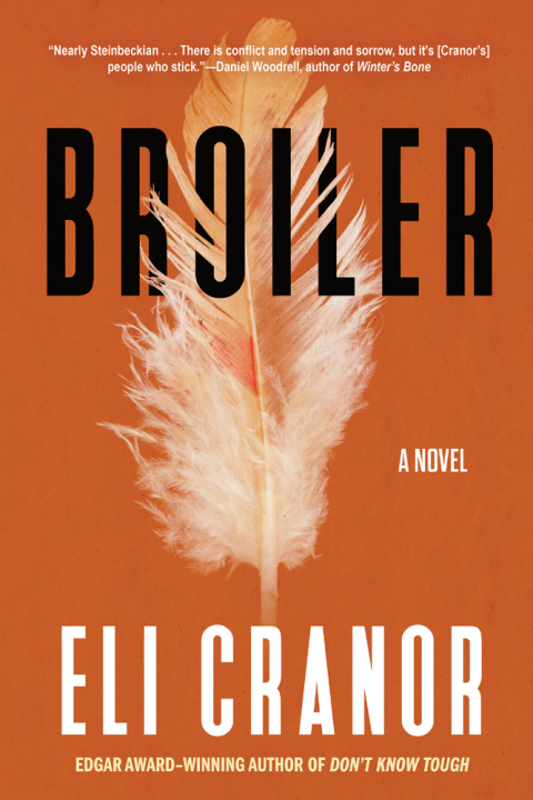 Cover image for book Broiler