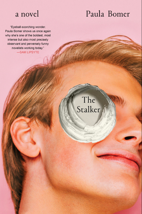 Cover image for book The Stalker