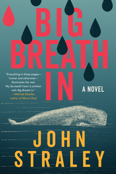 Cover image for book Big Breath In