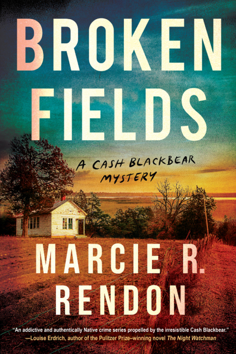 Cover image for book Broken Fields