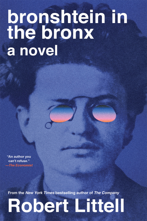 Cover image for book Bronshtein in the Bronx