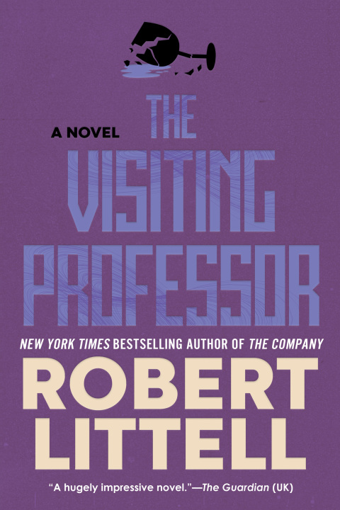 Cover image for book The Visiting Professor