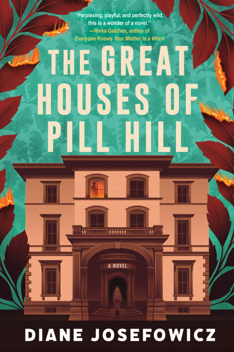 Cover image for book The Great Houses of Pill Hill