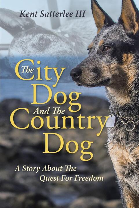 Cover image for book The City Dog And The Country Dog