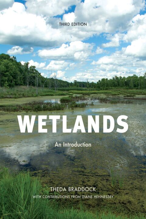 Cover image for book Wetlands