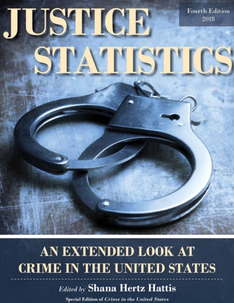 Cover image for book Justice Statistics