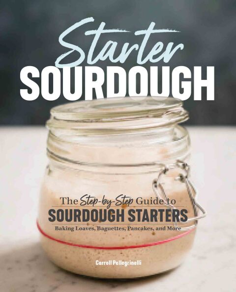 Cover image for book Starter Sourdough