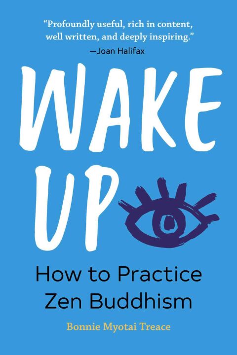 Cover image for book Wake Up