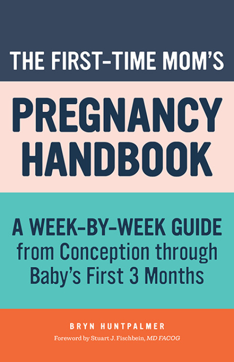 Cover image for book The First-Time Mom's Pregnancy Handbook