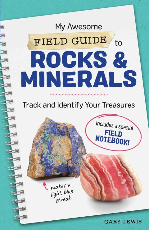 Cover image for book My Awesome Field Guide to Rocks & Minerals