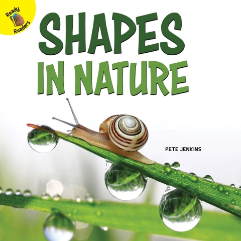 Cover image for book Shapes in Nature