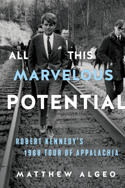 Cover image for book All This Marvelous Potential