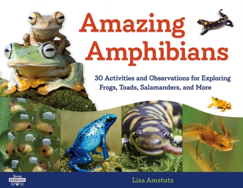 Cover image for book Amazing Amphibians
